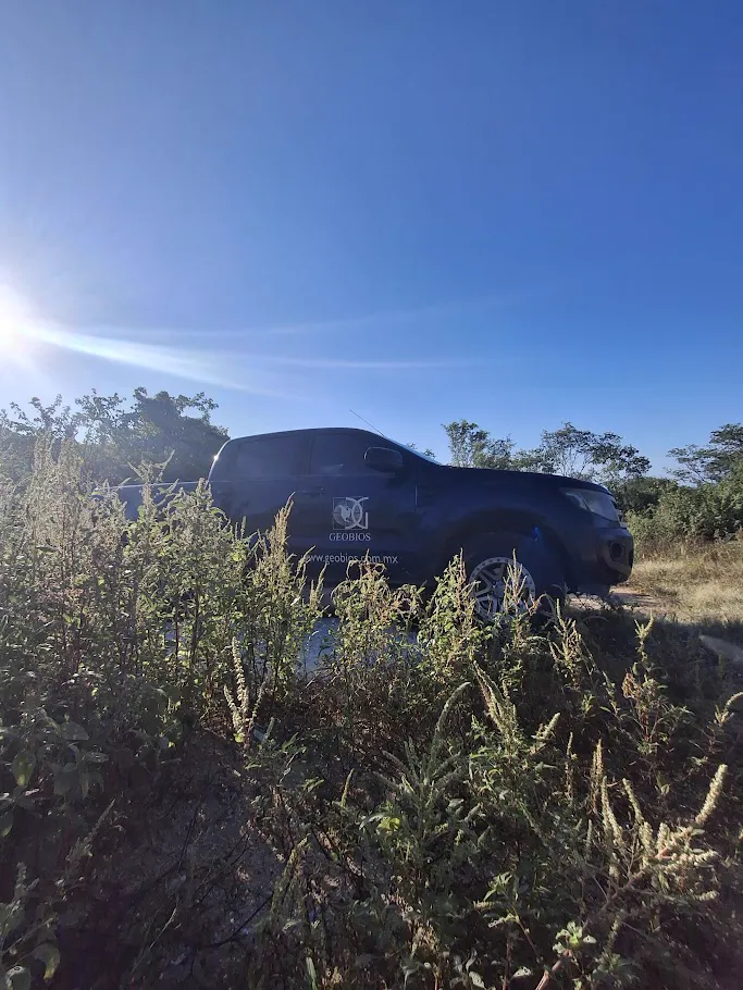 Flota de vehículos GEOBIOS